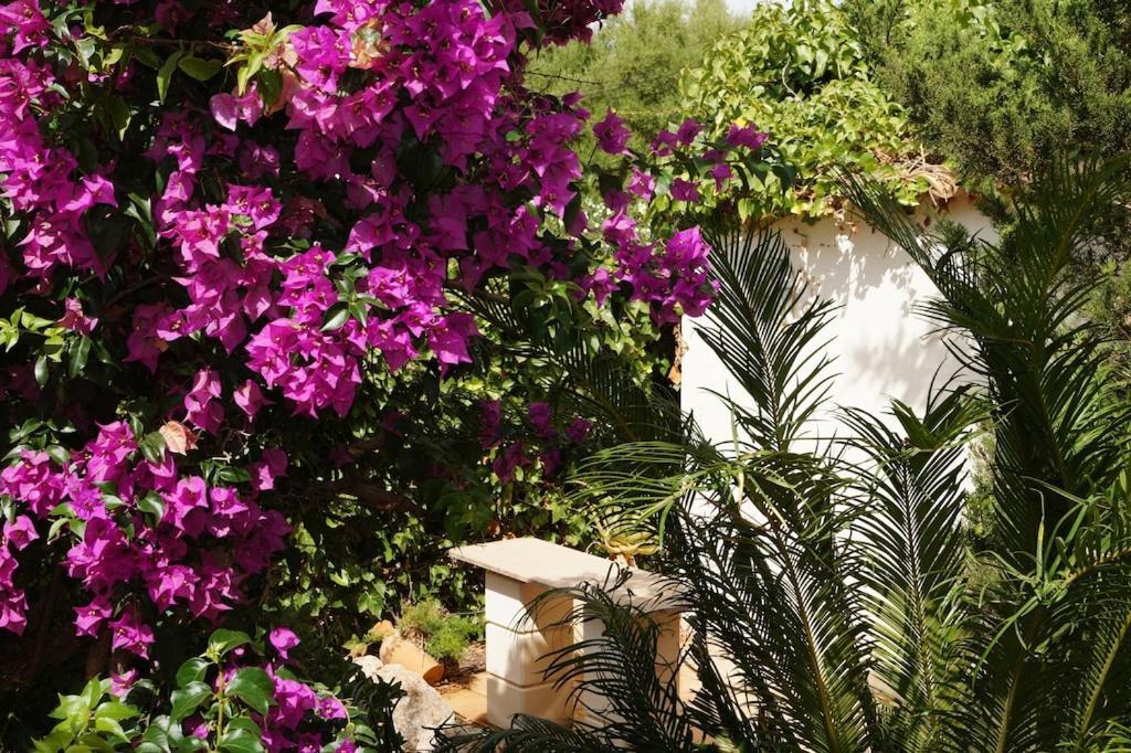 Villa Cala Mendia Cala Mandia  Extérieur photo